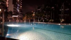 skies-miltonia photo thumbnail #6
